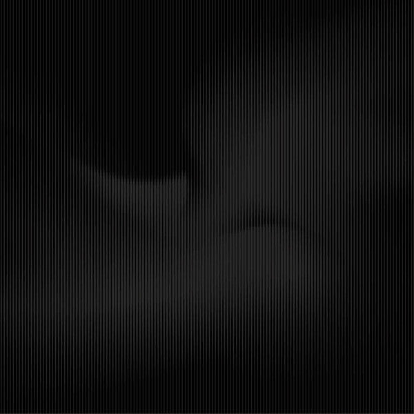 Ambrose Akinmusire – Beauty Is Enough (Vinyle neuf/New LP)