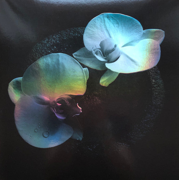 Mike Patton, Jean-Claude Vannier – Corpse Flower (Vinyle neuf/New LP)