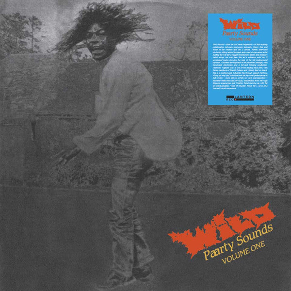 Various – Wild Paarty Sounds (Vinyle neuf/New LP)