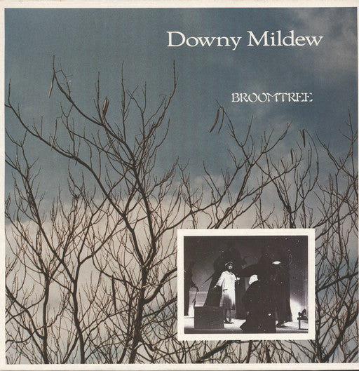 Downy Mildew – Broomtree (Vinyle usagé / Used LP)