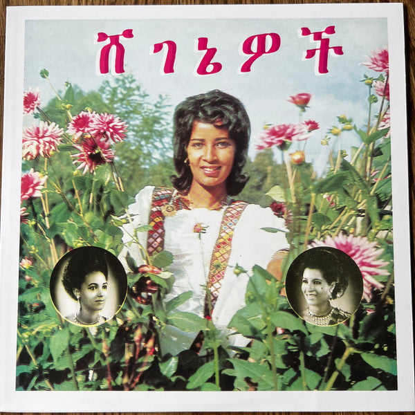 Aselefech Ashine And Getenesh Kebret With Army Band – ሸገኔዎች = Beauties (Vinyle neuf/New LP)