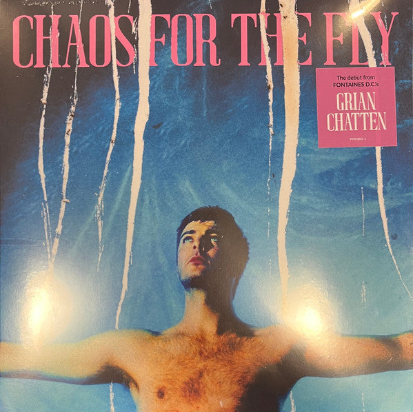 Grian Chatten – Chaos For The Fly (Vinyle neuf/New LP)