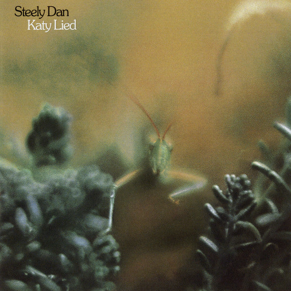 Steely Dan – Katy Lied (Vinyle usagé / Used LP)