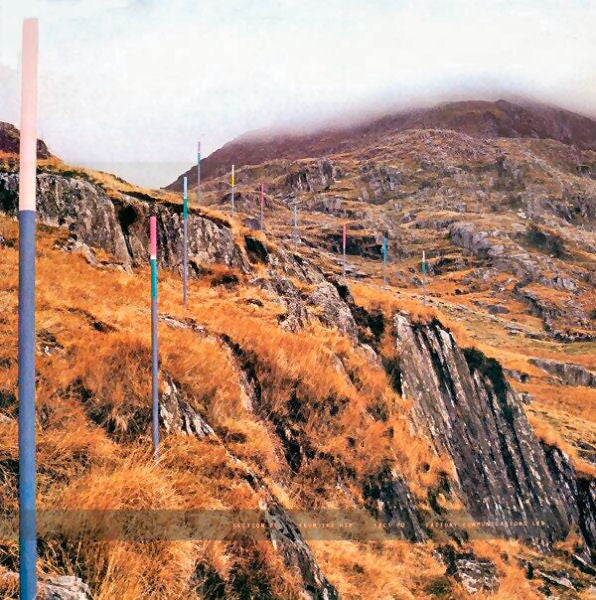 Section 25 – From The Hip (Vinyle usagé / Used LP)