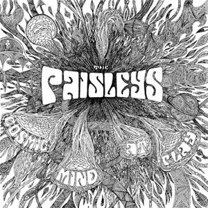 The Paisleys – Cosmic Mind At Play (Vinyle usagé / Used LP)