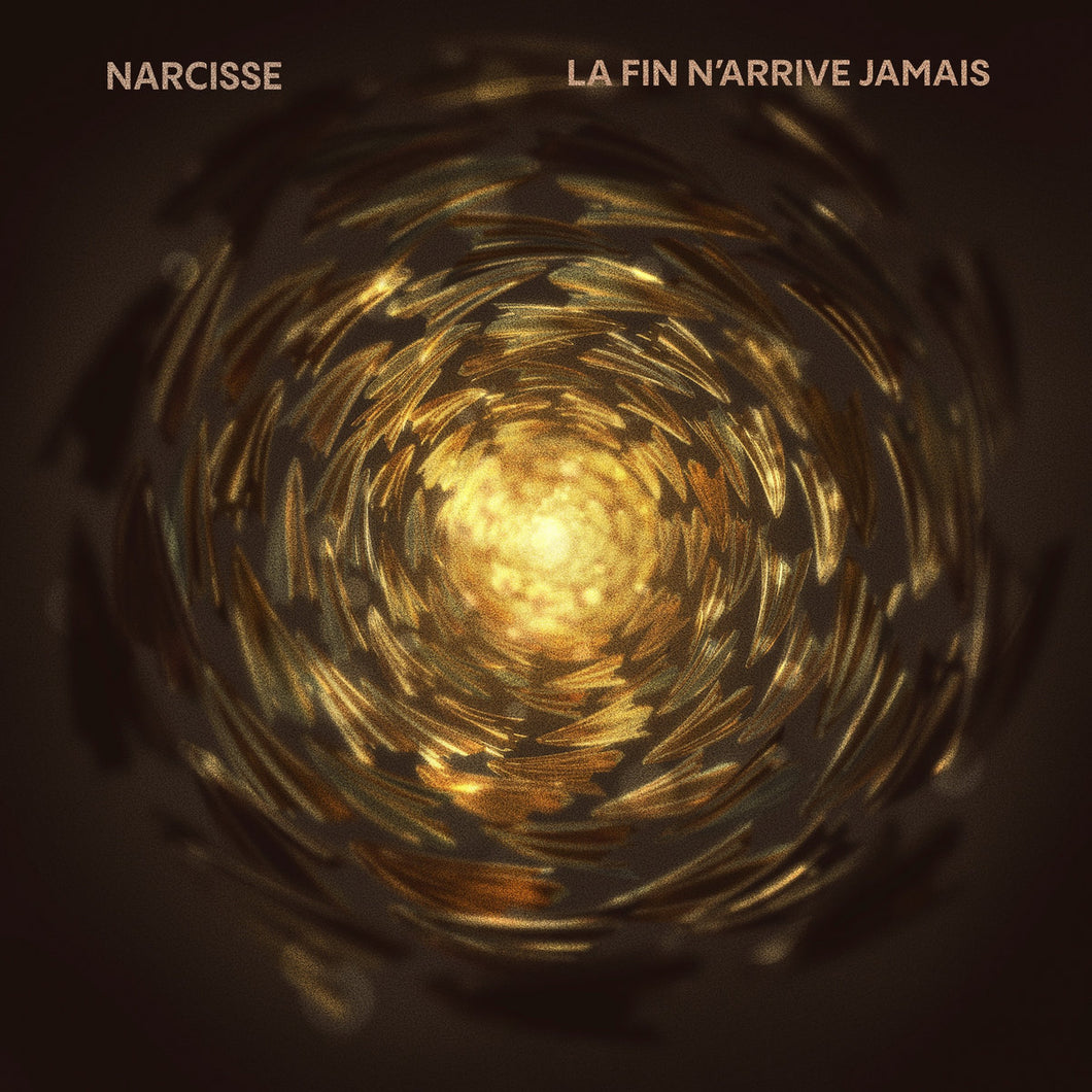 Adieu Narcisse ‎–  La fin n'arrive jamais (Vinyle neuf/New LP)