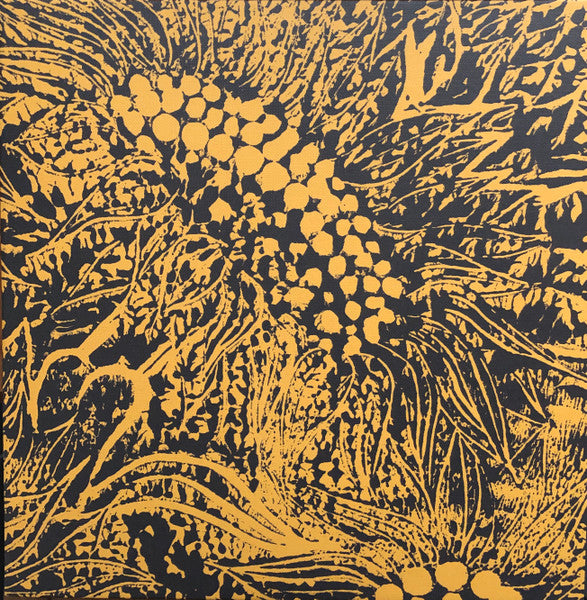 Amanda Whiting – Little Sunflower  (Vinyle neuf/New LP)