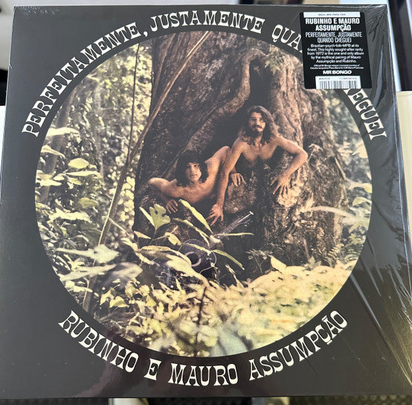 Rubinho E Mauro Assumpção – Perfeitamente, Justamente Quando Cheguei (Vinyle neuf/New LP)