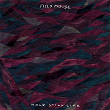 Charger l&#39;image dans la galerie, Field Mouse ‎– Hold Still Life (Vinyle usagé / Used LP)
